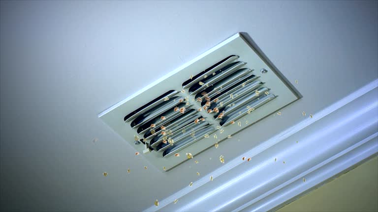 Best Local Air Duct Cleaning Services  in Belmont, PA