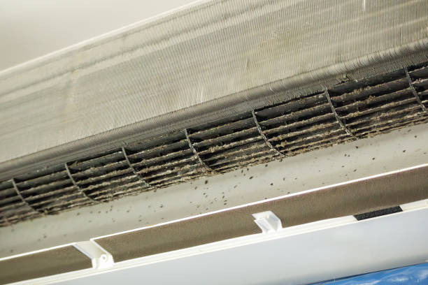 Best HVAC Air Duct Cleaning  in Belmont, PA